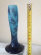 SOLIFLORE BLU-1