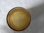 Bicchierini