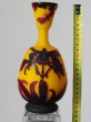 Giallo grande insetti