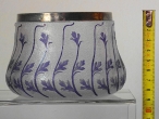 CIOTOLA FIORI BLU